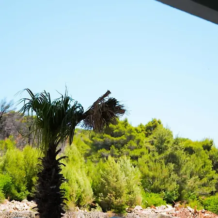 호텔 Ilyonis & Shëngjin